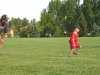 tball11.jpg